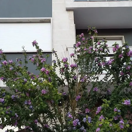 Coqueto Cercano A Termas A Apartamento